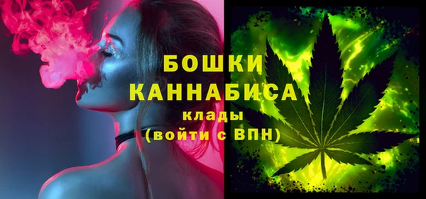 PSILOCYBIN Покров