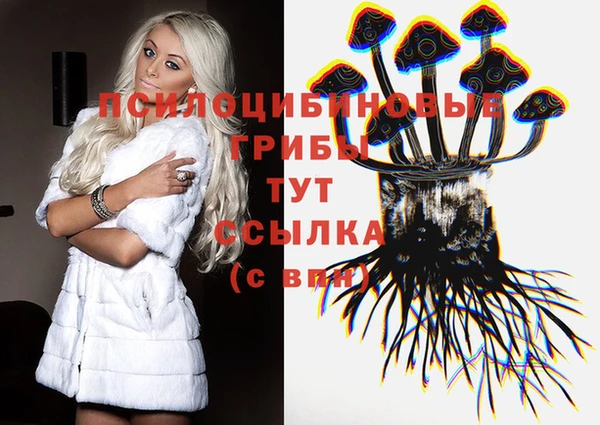 PSILOCYBIN Покров