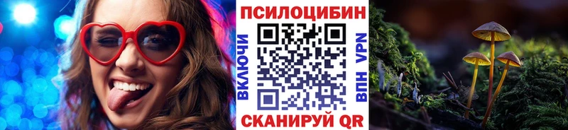 Псилоцибиновые грибы GOLDEN TEACHER Кяхта
